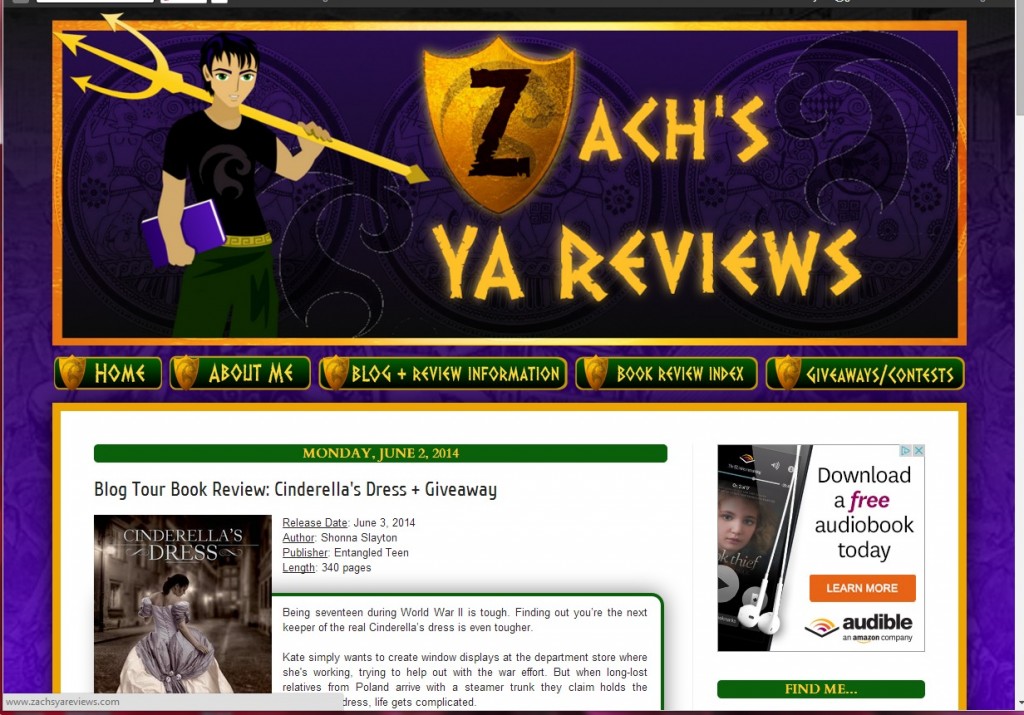 zachs YA reviews